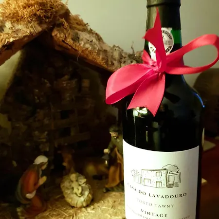 Casa Do Lavadouro Hébergement de vacances *