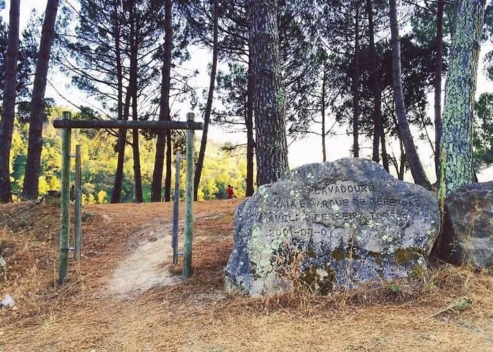 Hébergement de vacances Casa Do Lavadouro Pacos de Gaiolo